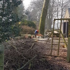 Bild von Arb-Spec Tree Surgery & Fencing