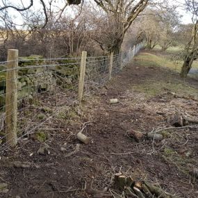 Bild von Arb-Spec Tree Surgery & Fencing