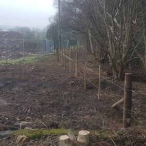 Bild von Arb-Spec Tree Surgery & Fencing