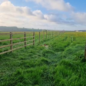 Bild von Arb-Spec Tree Surgery & Fencing