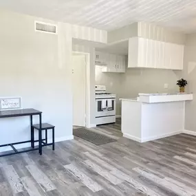 Living Room and Kitchen