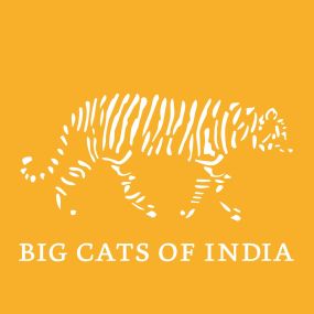 Bild von Big Cats of India GmbH