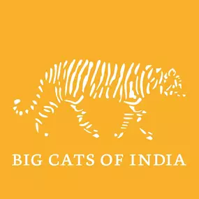 Bild von Big Cats of India GmbH