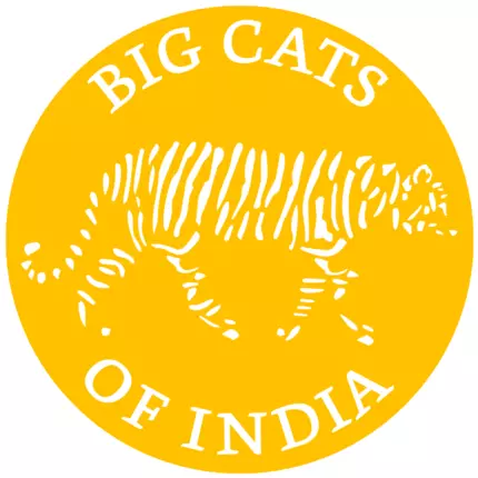 Logo od Big Cats of India GmbH