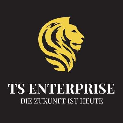 Logo da TS Tornow Solution Enterprise UG