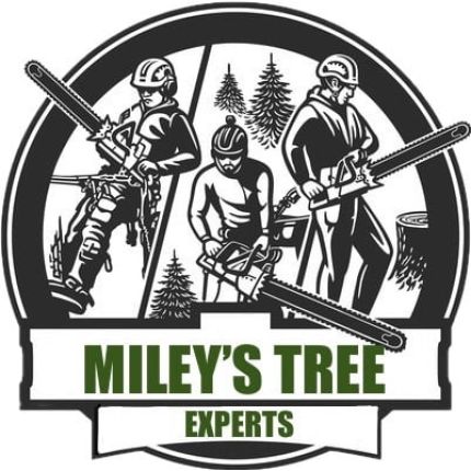 Λογότυπο από Miley's Tree Experts LLC