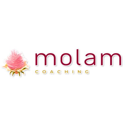 Logo da Molan Coaching