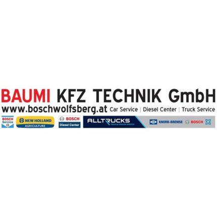 Logo da BAUMI KFZ Technik