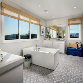 Luxe primary bathroom