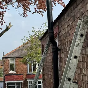 Bild von Linthorpe Roofing