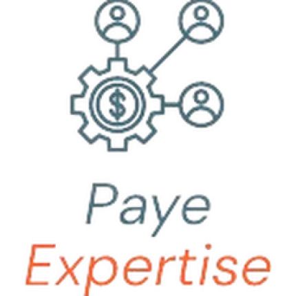Logo fra Paye Expertise