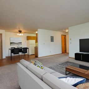 the living room of an apartment with a couch and a television