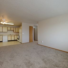 Open Kitchen and Living Room