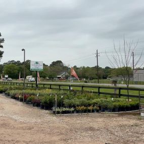 Bild von Rosehill Palms Nursery & Garden Center