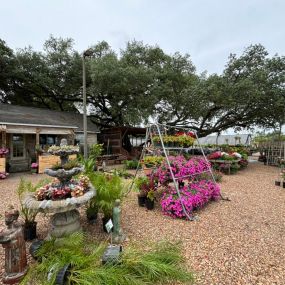 Bild von Rosehill Palms Nursery & Garden Center