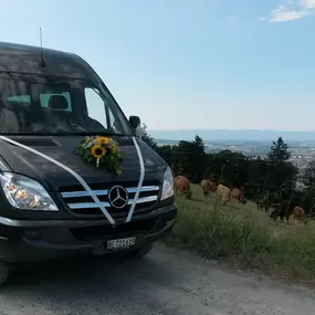 Gerber Busreisen GmbH, Midibus, Hochzeit, Gurten