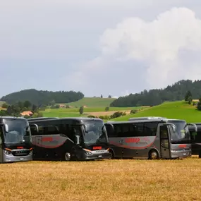 Gerber Busreisen GmbH, Reisecar, Fahrzeugflotte, Setra