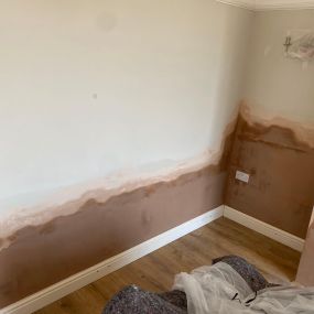 Bild von Appleton Dampcoursing & Plastering