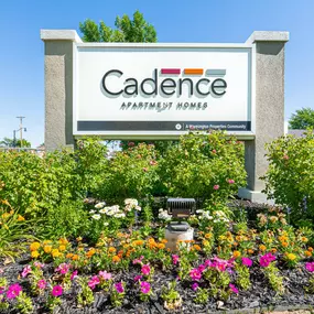 Cadence Apartments