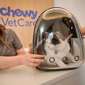 Bild von Chewy Vet Care Highlands Ranch