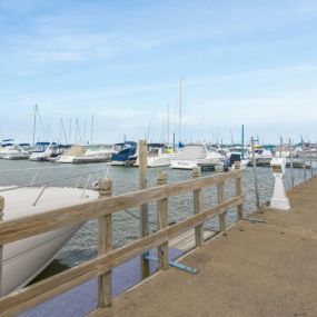 Bild von Battery Park Marina