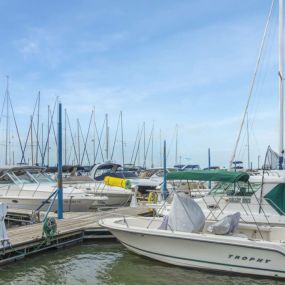 Bild von Battery Park Marina