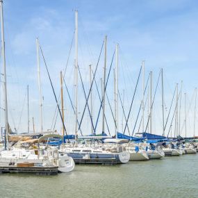 Bild von Battery Park Marina