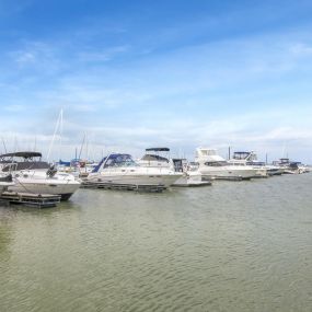 Bild von Battery Park Marina