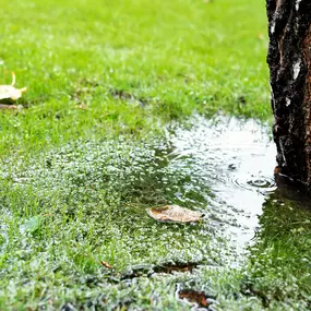 If you need emergency sewer services to respond to sewer and drain emergencies such as a sewer line backup please give Magnum Vac Service a call! Our experts will be able to solve your emergency sewer problem.