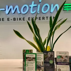 Bild von e-motion e-Bike Welt, Dreirad- & Lastenfahrrad-Zentrum Gießen