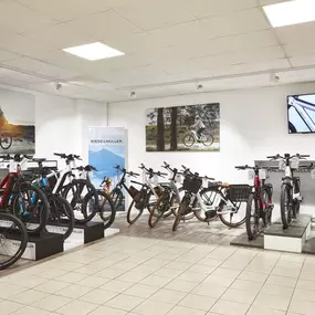 Bild von e-motion e-Bike Welt & Dreirad- & Lastenfahrrad-Zentrum Fuchstal