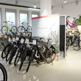 Bild von e-motion e-Bike Welt, Dreirad- & Lastenfahrrad-Zentrum Wiesbaden