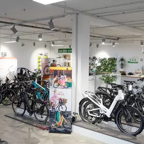 Bild von e-motion e-Bike Welt, Dreirad- & Lastenfahrrad-Zentrum Wiesbaden