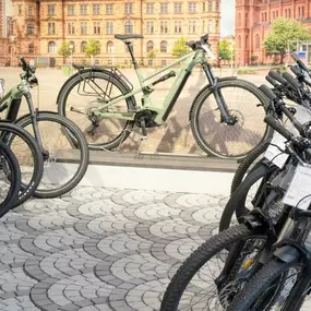 Bild von e-motion e-Bike Welt, Dreirad- & Lastenfahrrad-Zentrum Wiesbaden