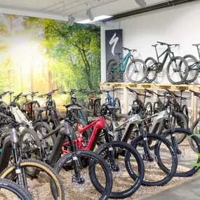 Bild von e-motion e-Bike Welt, Dreirad- & Lastenfahrrad-Zentrum Wiesbaden