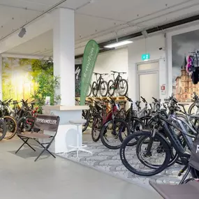 Bild von e-motion e-Bike Welt, Dreirad- & Lastenfahrrad-Zentrum Wiesbaden