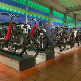 Bild von e-motion e-Bike Welt, Dreirad- & Lastenfahrrad-Zentrum Donauwörth