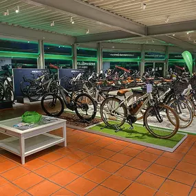 Bild von e-motion e-Bike Welt, Dreirad- & Lastenfahrrad-Zentrum Donauwörth