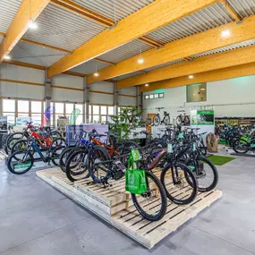 Bild von e-motion e-Bike Welt, Dreirad- & Lastenfahrrad-Zentrum Tuttlingen