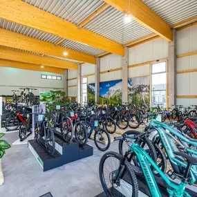 Bild von e-motion e-Bike Welt, Dreirad- & Lastenfahrrad-Zentrum Tuttlingen