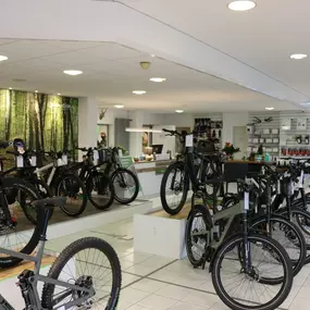 Bild von e-motion e-Bike Welt, Dreirad- & Lastenfahrrad-Zentrum Nordheide