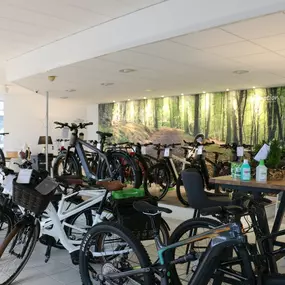 Bild von e-motion e-Bike Welt, Dreirad- & Lastenfahrrad-Zentrum Nordheide