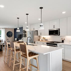 Bright, Light Filled Kitchen