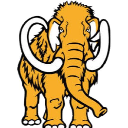 Logo de Mammoth Cycles | Specialized Stafford