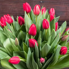 Eigene Tulpen