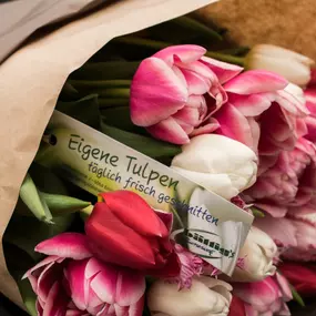 Eigene Tulpen