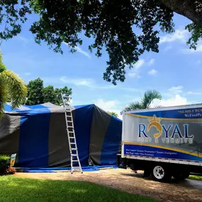 Fumigation