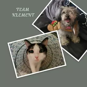 Why do we care so much about your pets? Because we are Pet Owners, too! Trupanion's culture, experience, no breed restrictions, and practice of paying out claims promptly and fairly is why State Farm® aligned with them.

Won’t increase prices just because your pet gets older.

You’ll never pay more for using your pet’s coverage.
No per incident limits
No annual limits
No lifetime limits

With Trupanion, you can use your coverage anywhere your pet needs care — any licensed veterinary clinic, anim