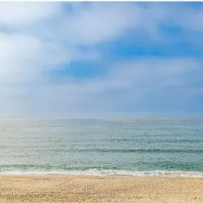 Bild von Marlene Silva - Palm Realty Boutique