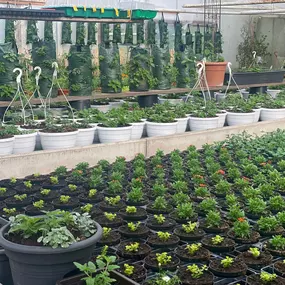 Bild von Gärtnerei Mehrings